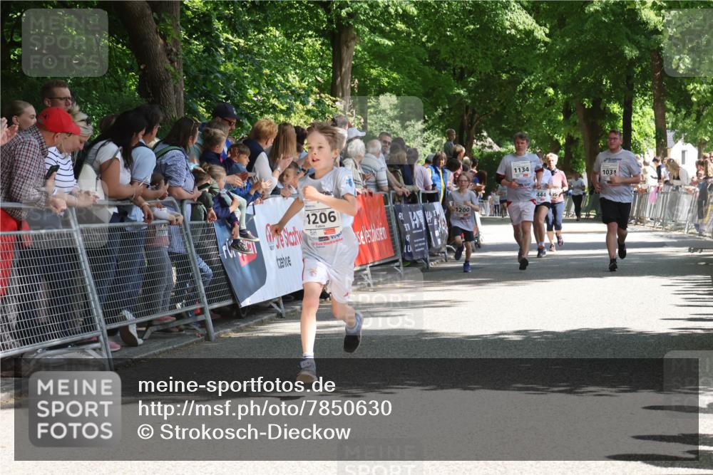 17.05.2025 - Störlauf Strokosch-Dieckow http://msf.ph/oto/7850630 17.05.2025 14:47:43 Ziel 1206, 1200, 1134, 444, 445, 1031 meine-sportfotos.de