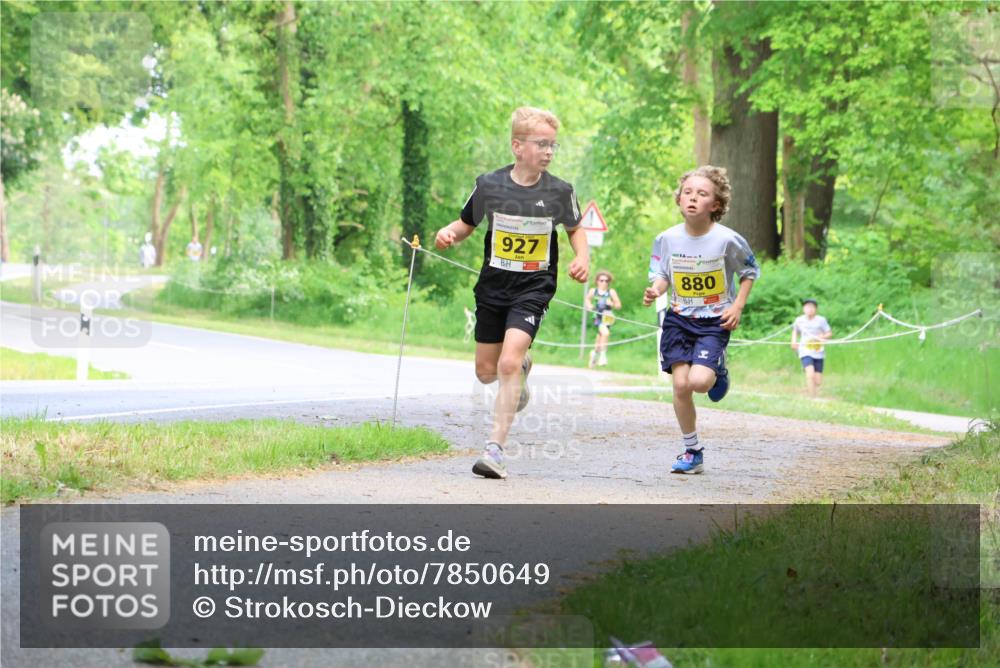 17.05.2025 - Störlauf Strokosch-Dieckow http://msf.ph/oto/7850649 17.05.2025 14:07:10 Laufen 927, 880 meine-sportfotos.de