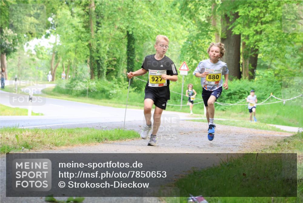 17.05.2025 - Störlauf Strokosch-Dieckow http://msf.ph/oto/7850653 17.05.2025 14:07:10 Laufen 927, 880 meine-sportfotos.de
