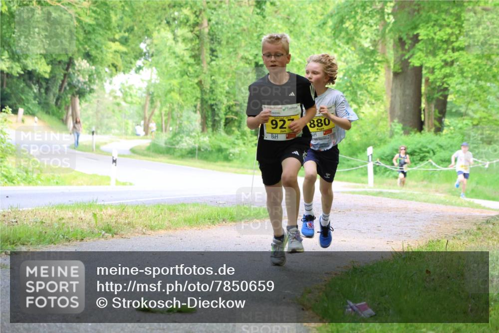 17.05.2025 - Störlauf Strokosch-Dieckow http://msf.ph/oto/7850659 17.05.2025 14:07:12 Laufen 2025, 92, 880 meine-sportfotos.de
