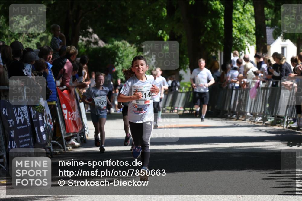 17.05.2025 - Störlauf Strokosch-Dieckow http://msf.ph/oto/7850663 17.05.2025 14:48:07 Ziel 7, 25524, 1360, 14 meine-sportfotos.de