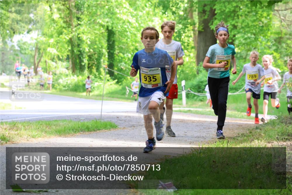 17.05.2025 - Störlauf Strokosch-Dieckow http://msf.ph/oto/7850713 17.05.2025 14:08:27 Laufen 2025, 935, 789 meine-sportfotos.de
