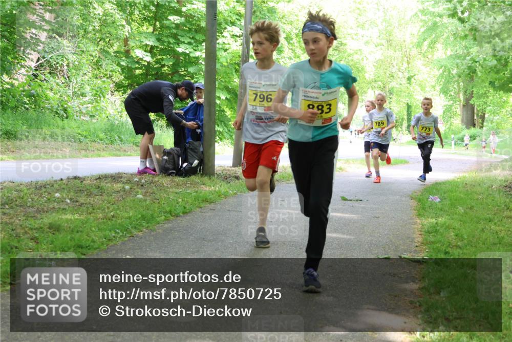 17.05.2025 - Störlauf Strokosch-Dieckow http://msf.ph/oto/7850725 17.05.2025 14:08:32 Laufen 796, 2023, 983, 789, 773 meine-sportfotos.de