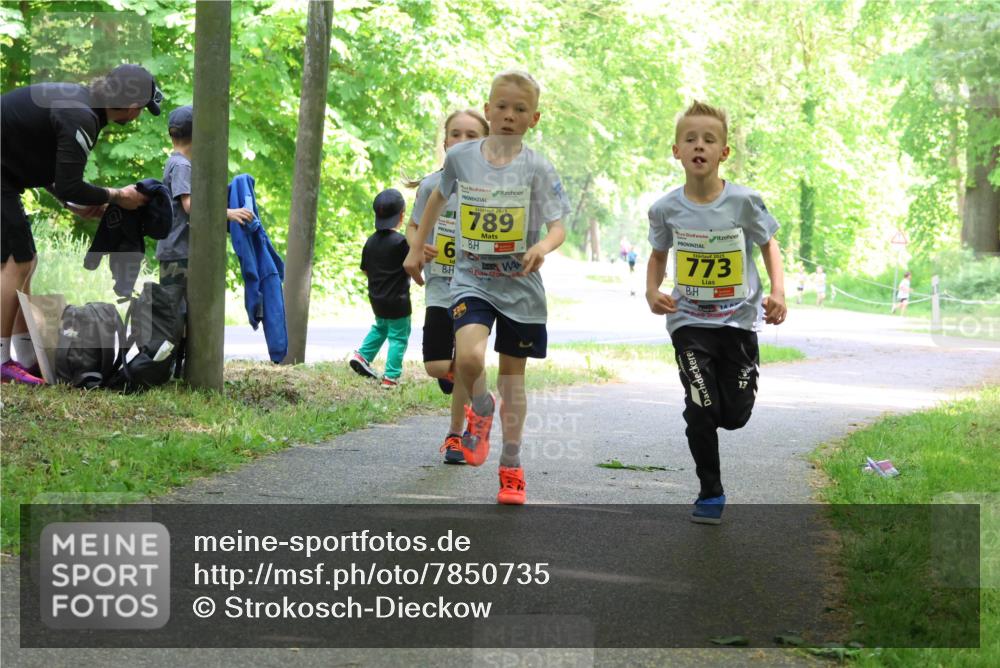 17.05.2025 - Störlauf Strokosch-Dieckow http://msf.ph/oto/7850735 17.05.2025 14:08:34 Laufen 6, 2025, 789, 2025, 773 meine-sportfotos.de
