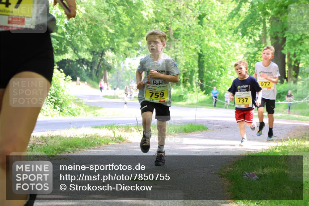 17.05.2025 - Störlauf Strokosch-Dieckow http://msf.ph/oto/7850755 17.05.2025 14:08:51 Laufen 759, 737, 972 meine-sportfotos.de