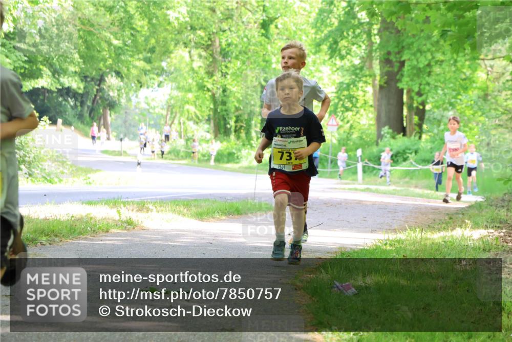 17.05.2025 - Störlauf Strokosch-Dieckow http://msf.ph/oto/7850757 17.05.2025 14:08:52 Laufen 73, 570 meine-sportfotos.de