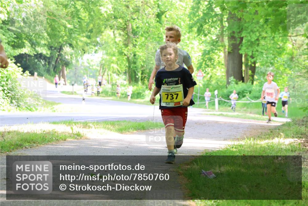 17.05.2025 - Störlauf Strokosch-Dieckow http://msf.ph/oto/7850760 17.05.2025 14:08:52 Laufen 737, 570 meine-sportfotos.de