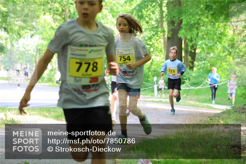 17.05.2025 - Störlauf Strokosch-Dieckow http://msf.ph/oto/7850786 17.05.2025 14:09:01 Laufen 778, 2025, 754, 721 meine-sportfotos.de