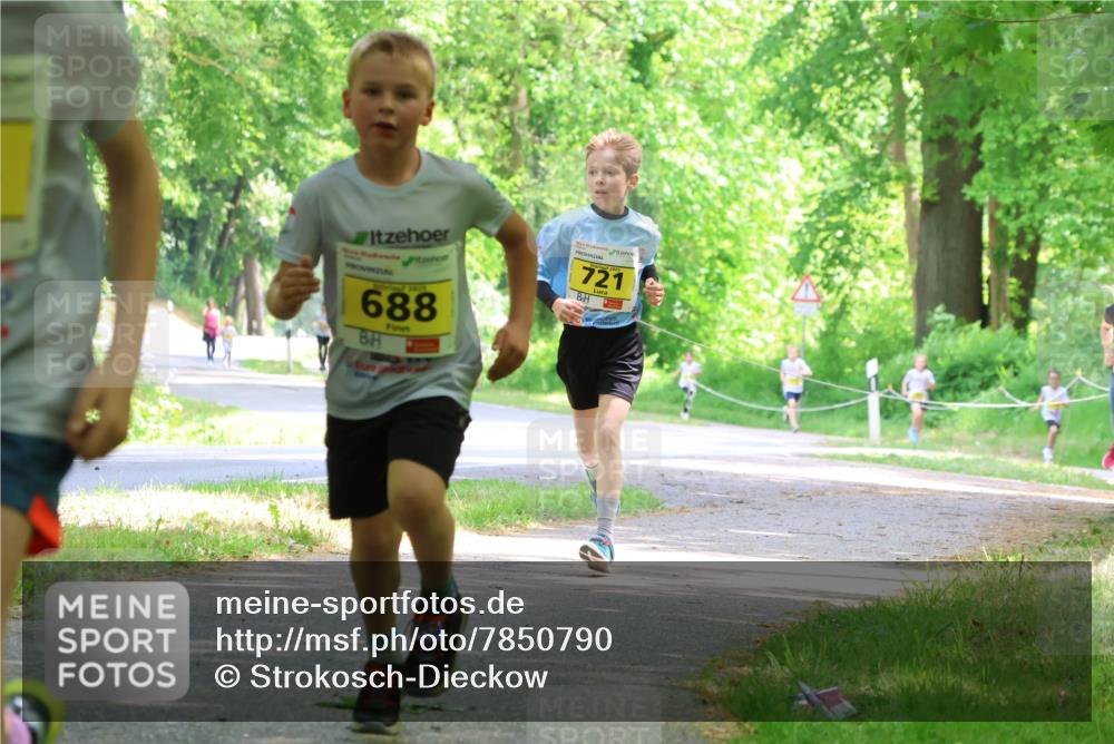17.05.2025 - Störlauf Strokosch-Dieckow http://msf.ph/oto/7850790 17.05.2025 14:09:04 Laufen 688, 721 meine-sportfotos.de