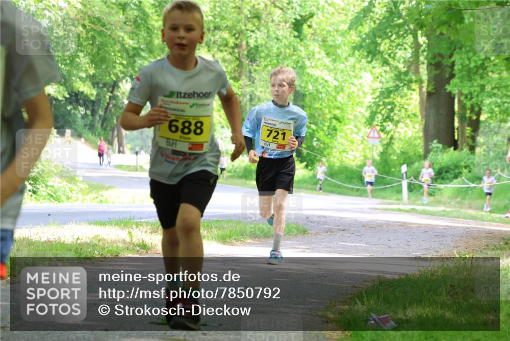 17.05.2025 - Störlauf Strokosch-Dieckow http://msf.ph/oto/7850792 17.05.2025 14:09:04 Laufen 688, 721 meine-sportfotos.de