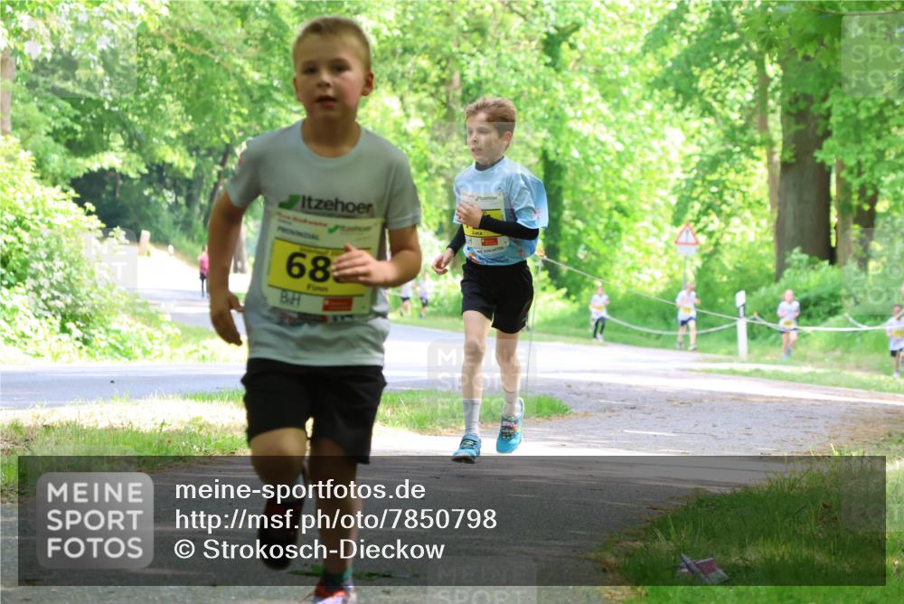 17.05.2025 - Störlauf Strokosch-Dieckow http://msf.ph/oto/7850798 17.05.2025 14:09:04 Laufen 68 meine-sportfotos.de