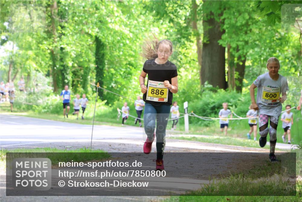 17.05.2025 - Störlauf Strokosch-Dieckow http://msf.ph/oto/7850800 17.05.2025 14:09:08 Laufen 886, 800 meine-sportfotos.de