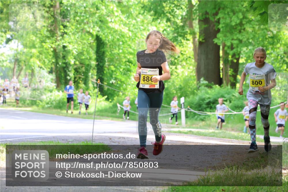 17.05.2025 - Störlauf Strokosch-Dieckow http://msf.ph/oto/7850803 17.05.2025 14:09:08 Laufen 886, 800 meine-sportfotos.de