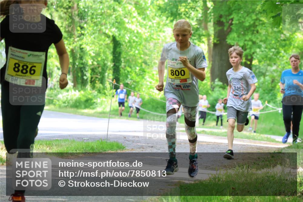 17.05.2025 - Störlauf Strokosch-Dieckow http://msf.ph/oto/7850813 17.05.2025 14:09:10 Laufen 2025, 886, 2021, 800, 8 meine-sportfotos.de
