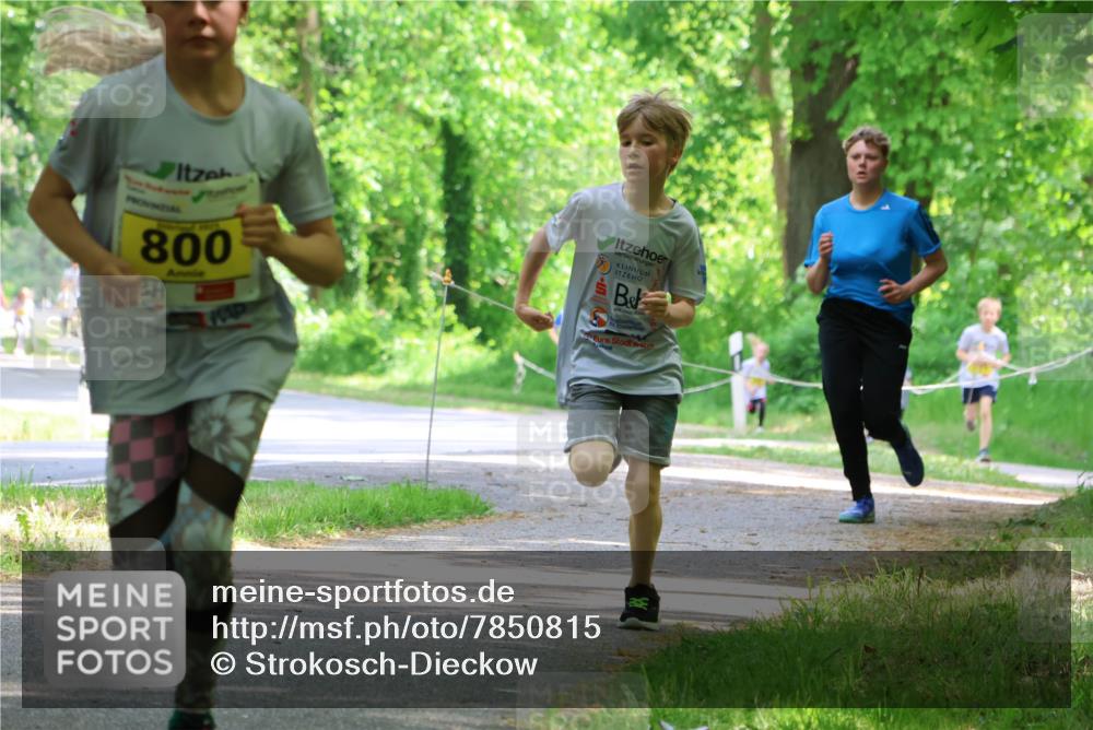 17.05.2025 - Störlauf Strokosch-Dieckow http://msf.ph/oto/7850815 17.05.2025 14:09:12 Laufen 800 meine-sportfotos.de