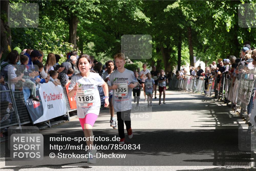17.05.2025 - Störlauf Strokosch-Dieckow http://msf.ph/oto/7850834 17.05.2025 14:49:39 Ziel 1189, 1305, 1590, 1082 meine-sportfotos.de