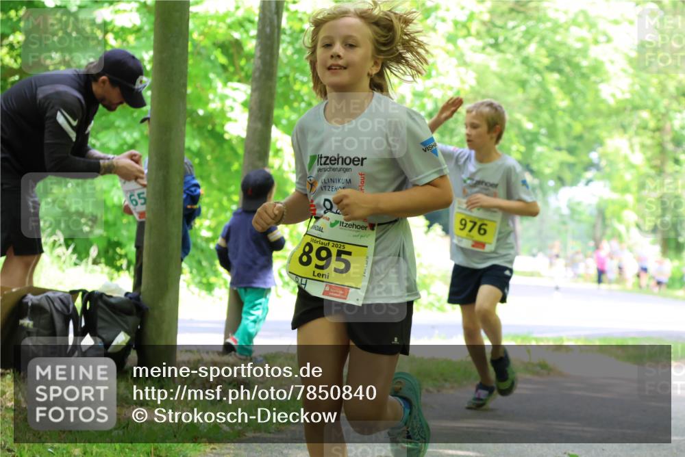 17.05.2025 - Störlauf Strokosch-Dieckow http://msf.ph/oto/7850840 17.05.2025 14:09:28 Laufen 65, 2025, 895, 976 meine-sportfotos.de