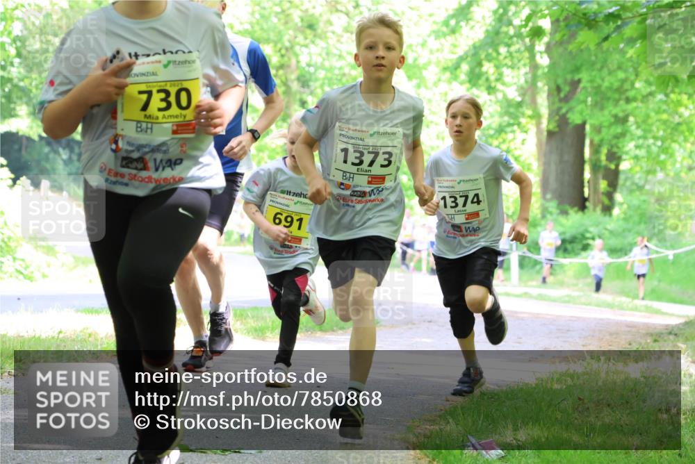 17.05.2025 - Störlauf Strokosch-Dieckow http://msf.ph/oto/7850868 17.05.2025 14:09:36 Laufen 2025, 730, 691, 2025, 1373, 200, 2025, 1374 meine-sportfotos.de