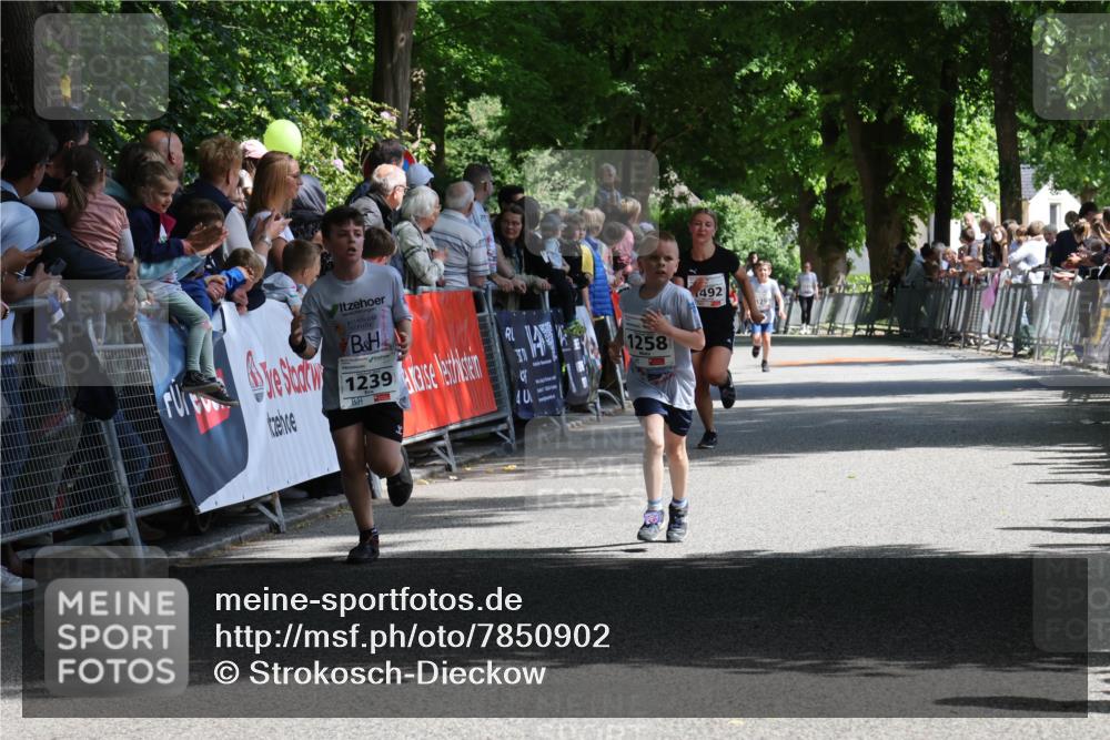 17.05.2025 - Störlauf Strokosch-Dieckow http://msf.ph/oto/7850902 17.05.2025 14:50:29 Ziel 1239, 1258, 492 meine-sportfotos.de