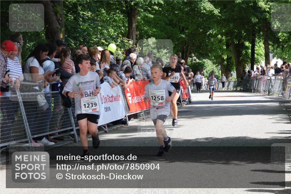 17.05.2025 - Störlauf Strokosch-Dieckow http://msf.ph/oto/7850904 17.05.2025 14:50:31 Ziel 1239, 1258, 1492 meine-sportfotos.de