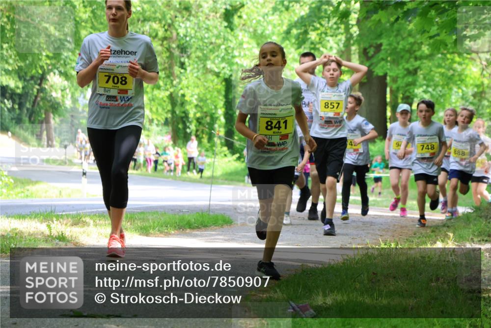 17.05.2025 - Störlauf Strokosch-Dieckow http://msf.ph/oto/7850907 17.05.2025 14:09:59 Laufen 2025, 708, 5, 2025, 841, 857, 4, 748, 888, 96 meine-sportfotos.de