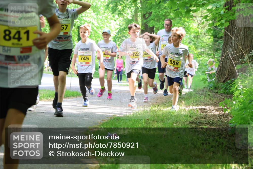 17.05.2025 - Störlauf Strokosch-Dieckow http://msf.ph/oto/7850921 17.05.2025 14:10:01 Laufen 57, 841, 745, 748, 94, 888 meine-sportfotos.de