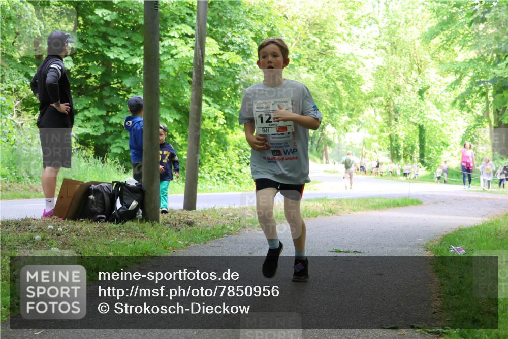 17.05.2025 - Störlauf Strokosch-Dieckow http://msf.ph/oto/7850956 17.05.2025 14:10:16 Laufen 12 meine-sportfotos.de