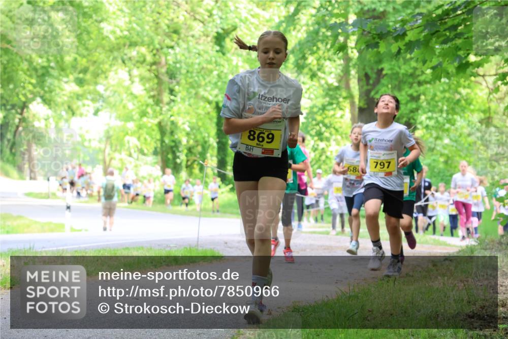 17.05.2025 - Störlauf Strokosch-Dieckow http://msf.ph/oto/7850966 17.05.2025 14:10:19 Laufen 2025, 8691, 68, 797 meine-sportfotos.de