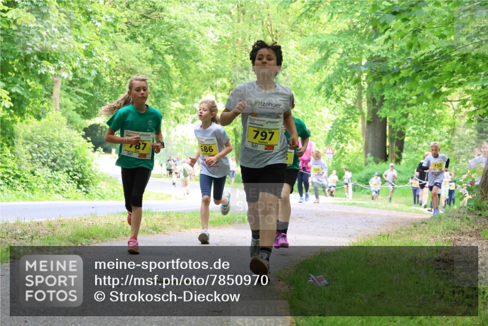 17.05.2025 - Störlauf Strokosch-Dieckow http://msf.ph/oto/7850970 17.05.2025 14:10:22 Laufen 787, 686, 797, 504, 750 meine-sportfotos.de