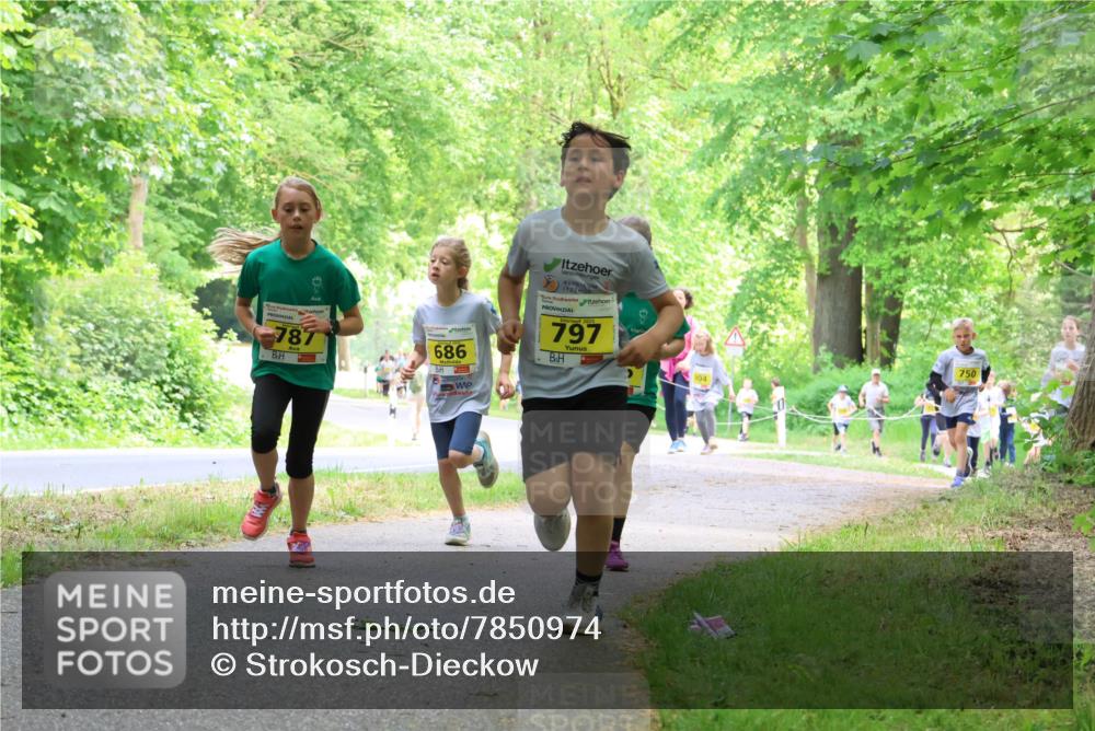17.05.2025 - Störlauf Strokosch-Dieckow http://msf.ph/oto/7850974 17.05.2025 14:10:22 Laufen 787, 686, 2025, 797, 750, 504 meine-sportfotos.de