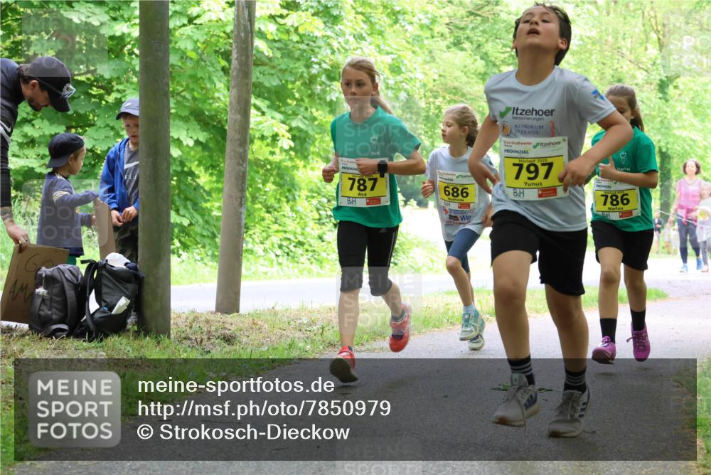 17.05.2025 - Störlauf Strokosch-Dieckow http://msf.ph/oto/7850979 17.05.2025 14:10:23 Laufen 787, 686, 2025, 797, 786 meine-sportfotos.de