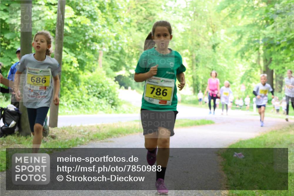 17.05.2025 - Störlauf Strokosch-Dieckow http://msf.ph/oto/7850988 17.05.2025 14:10:25 Laufen 686, 2025, 786 meine-sportfotos.de