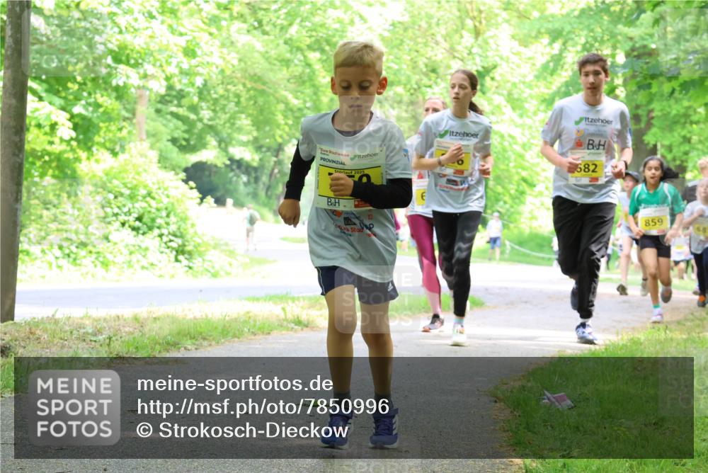 17.05.2025 - Störlauf Strokosch-Dieckow http://msf.ph/oto/7850996 17.05.2025 14:10:30 Laufen 2025, 682, 859 meine-sportfotos.de
