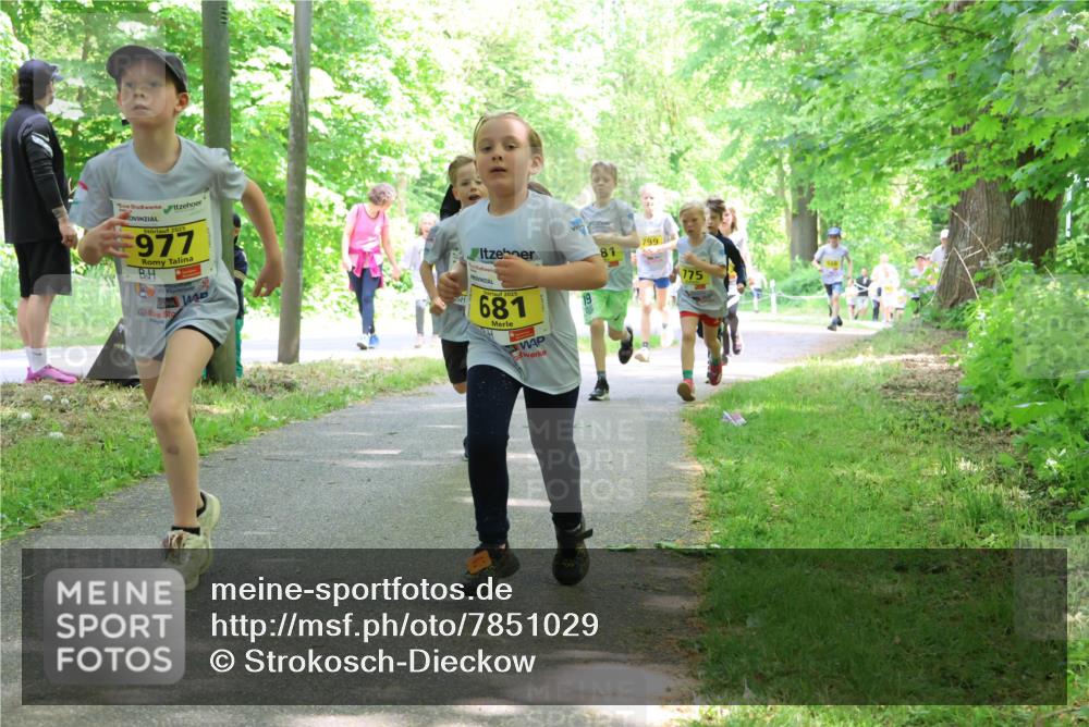 17.05.2025 - Störlauf Strokosch-Dieckow http://msf.ph/oto/7851029 17.05.2025 14:10:37 Laufen 2025, 977, 681, 19, 799, 81, 775 meine-sportfotos.de