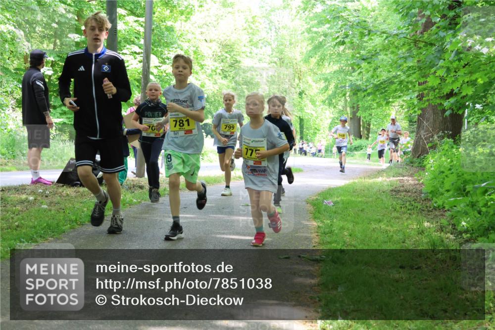17.05.2025 - Störlauf Strokosch-Dieckow http://msf.ph/oto/7851038 17.05.2025 14:10:39 Laufen 781, 799, 775, 19, 948 meine-sportfotos.de