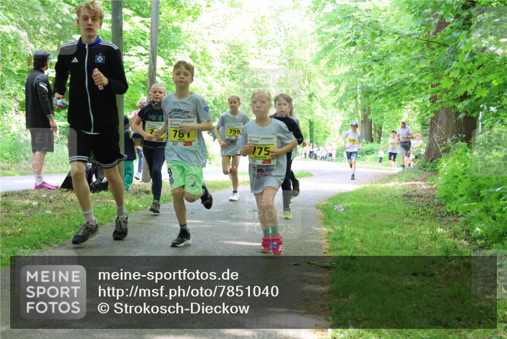 17.05.2025 - Störlauf Strokosch-Dieckow http://msf.ph/oto/7851040 17.05.2025 14:10:39 Laufen 781, 799, 175, 948 meine-sportfotos.de
