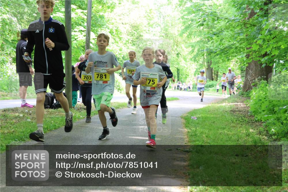 17.05.2025 - Störlauf Strokosch-Dieckow http://msf.ph/oto/7851041 17.05.2025 14:10:39 Laufen 703, 781, 799, 275, 948 meine-sportfotos.de