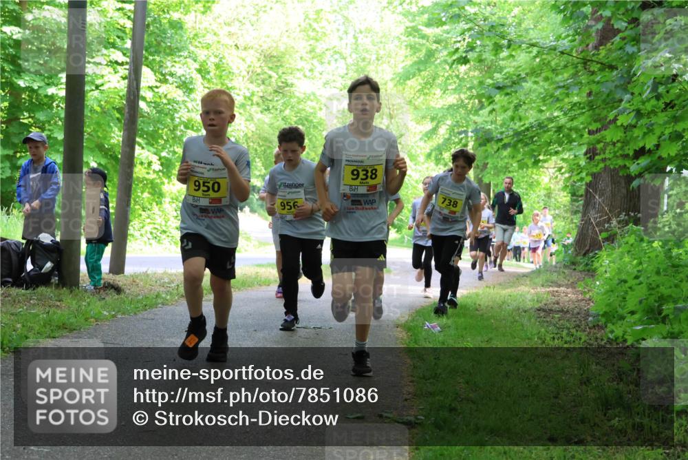 17.05.2025 - Störlauf Strokosch-Dieckow http://msf.ph/oto/7851086 17.05.2025 14:10:51 Laufen 950, 956, 938, 738 meine-sportfotos.de