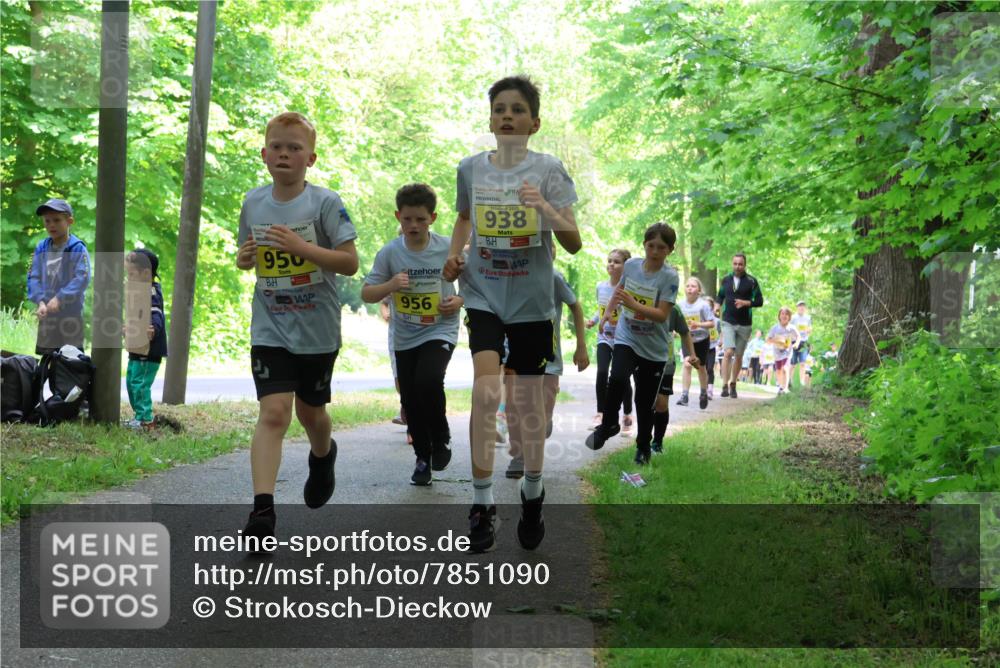 17.05.2025 - Störlauf Strokosch-Dieckow http://msf.ph/oto/7851090 17.05.2025 14:10:51 Laufen 950, 956, 2025, 938 meine-sportfotos.de