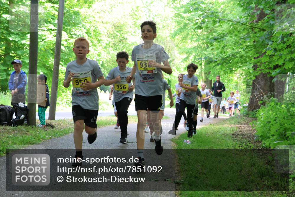17.05.2025 - Störlauf Strokosch-Dieckow http://msf.ph/oto/7851092 17.05.2025 14:10:51 Laufen 202, 93, 950, 956, 31 meine-sportfotos.de