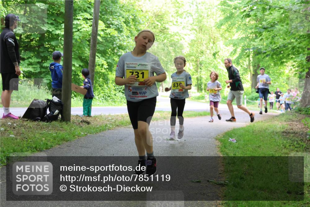 17.05.2025 - Störlauf Strokosch-Dieckow http://msf.ph/oto/7851119 17.05.2025 14:10:57 Laufen 2025, 231, 83 meine-sportfotos.de