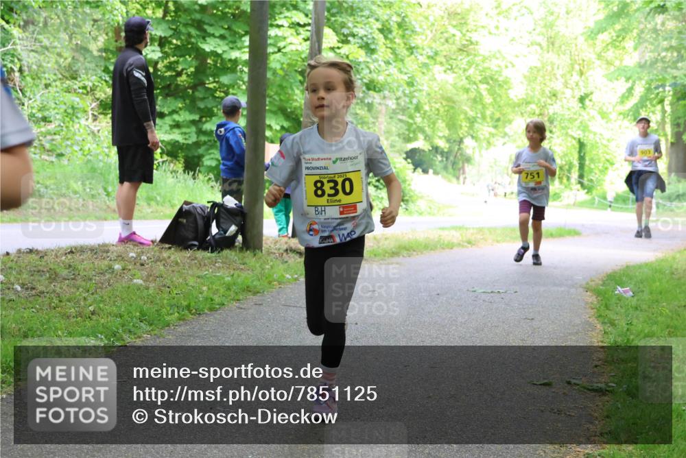 17.05.2025 - Störlauf Strokosch-Dieckow http://msf.ph/oto/7851125 17.05.2025 14:10:59 Laufen 2025, 830, 751, 903 meine-sportfotos.de