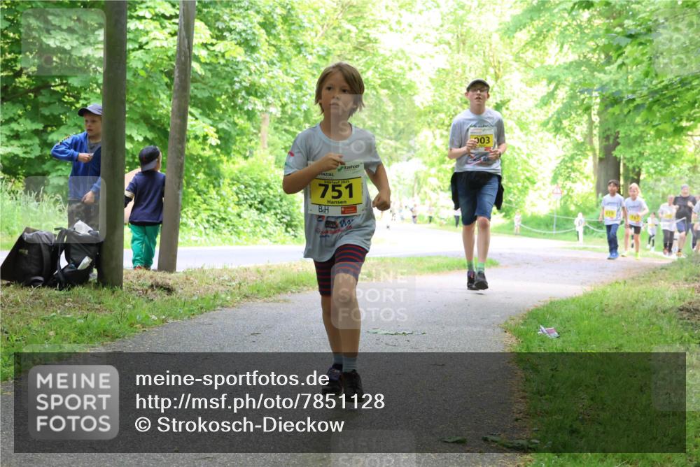 17.05.2025 - Störlauf Strokosch-Dieckow http://msf.ph/oto/7851128 17.05.2025 14:11:01 Laufen 2025, 751, 303 meine-sportfotos.de