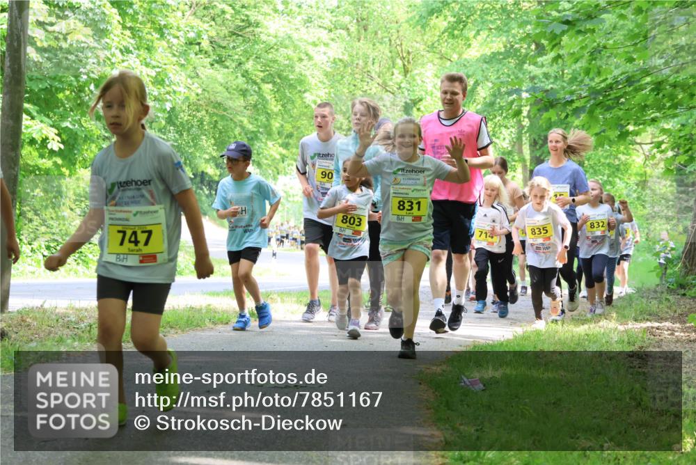 17.05.2025 - Störlauf Strokosch-Dieckow http://msf.ph/oto/7851167 17.05.2025 14:11:12 Laufen 747, 90, 803, 831, 714, 835, 832 meine-sportfotos.de