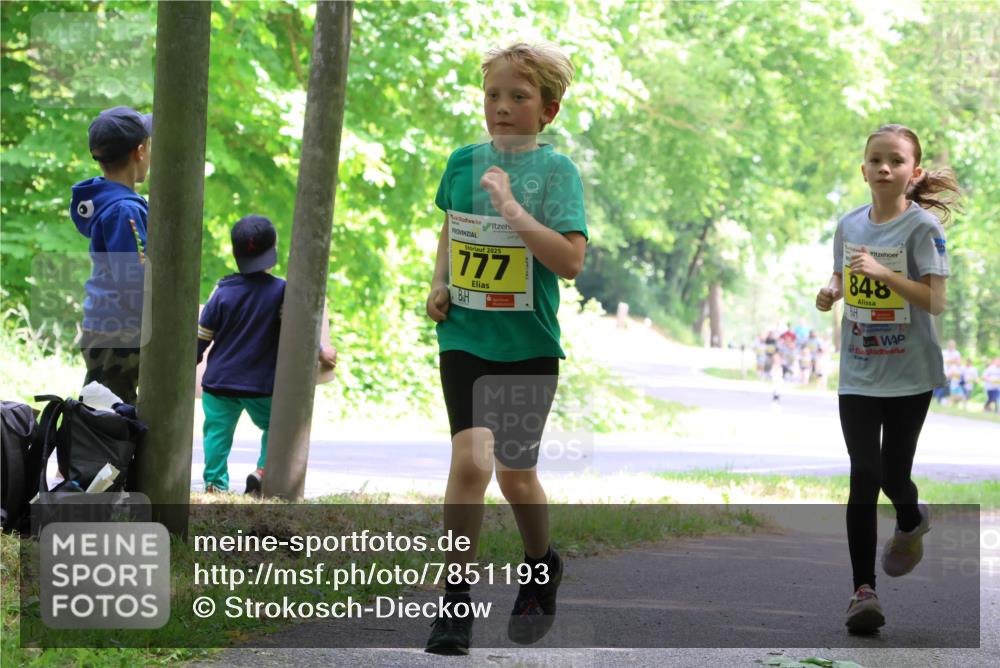 17.05.2025 - Störlauf Strokosch-Dieckow http://msf.ph/oto/7851193 17.05.2025 14:11:26 Laufen 2025, 777, 848 meine-sportfotos.de