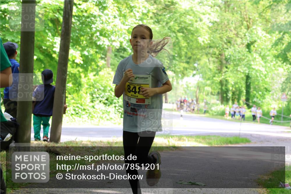 17.05.2025 - Störlauf Strokosch-Dieckow http://msf.ph/oto/7851201 17.05.2025 14:11:28 Laufen 2025, 848 meine-sportfotos.de