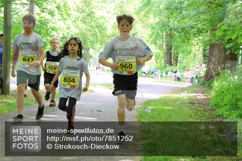 17.05.2025 - Störlauf Strokosch-Dieckow http://msf.ph/oto/7851252 17.05.2025 14:11:53 Laufen 847, 928, 804, 2025, 960 meine-sportfotos.de