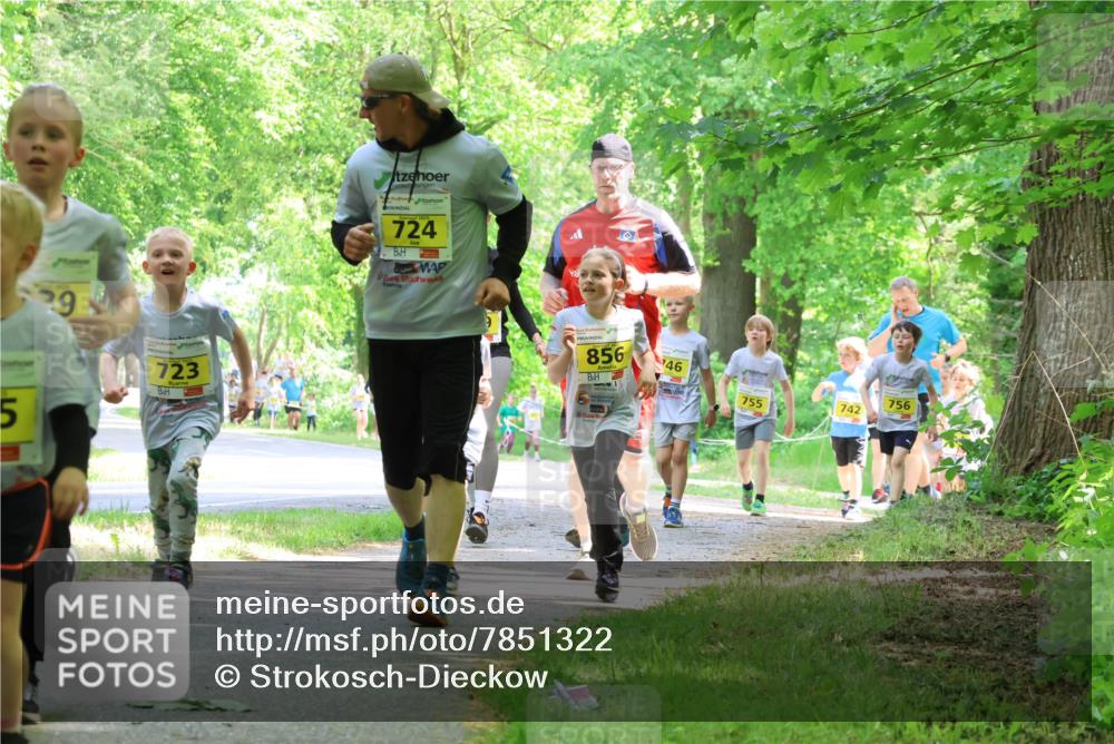 17.05.2025 - Störlauf Strokosch-Dieckow http://msf.ph/oto/7851322 17.05.2025 14:12:12 Laufen 29, 723, 724, 856, 46, 756, 742, 755 meine-sportfotos.de
