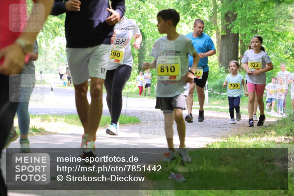 17.05.2025 - Störlauf Strokosch-Dieckow http://msf.ph/oto/7851442 17.05.2025 14:12:51 Laufen 11, 690, 810, 01, 700, 822 meine-sportfotos.de