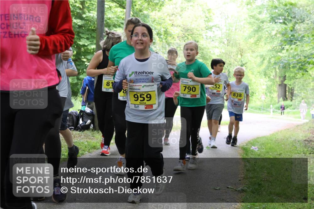 17.05.2025 - Störlauf Strokosch-Dieckow http://msf.ph/oto/7851637 17.05.2025 14:14:23 Laufen 81, 8, 2025, 959, 2025, 790, 52, 838 meine-sportfotos.de